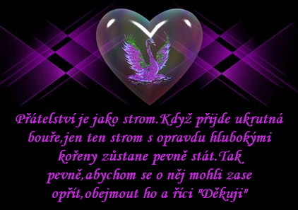 mf_144246161_8fa17af626a43f38e51c300144abbbf8